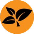 Mask Group 2 leaf icon