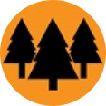 Mask Group 3 tree icon
